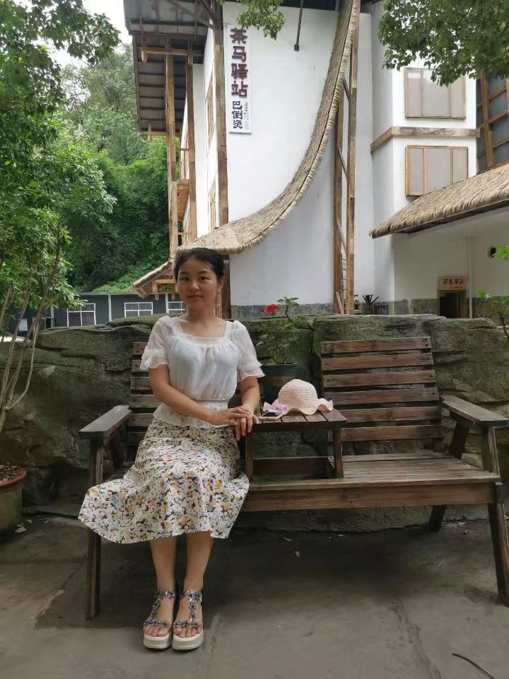 球速真人盘